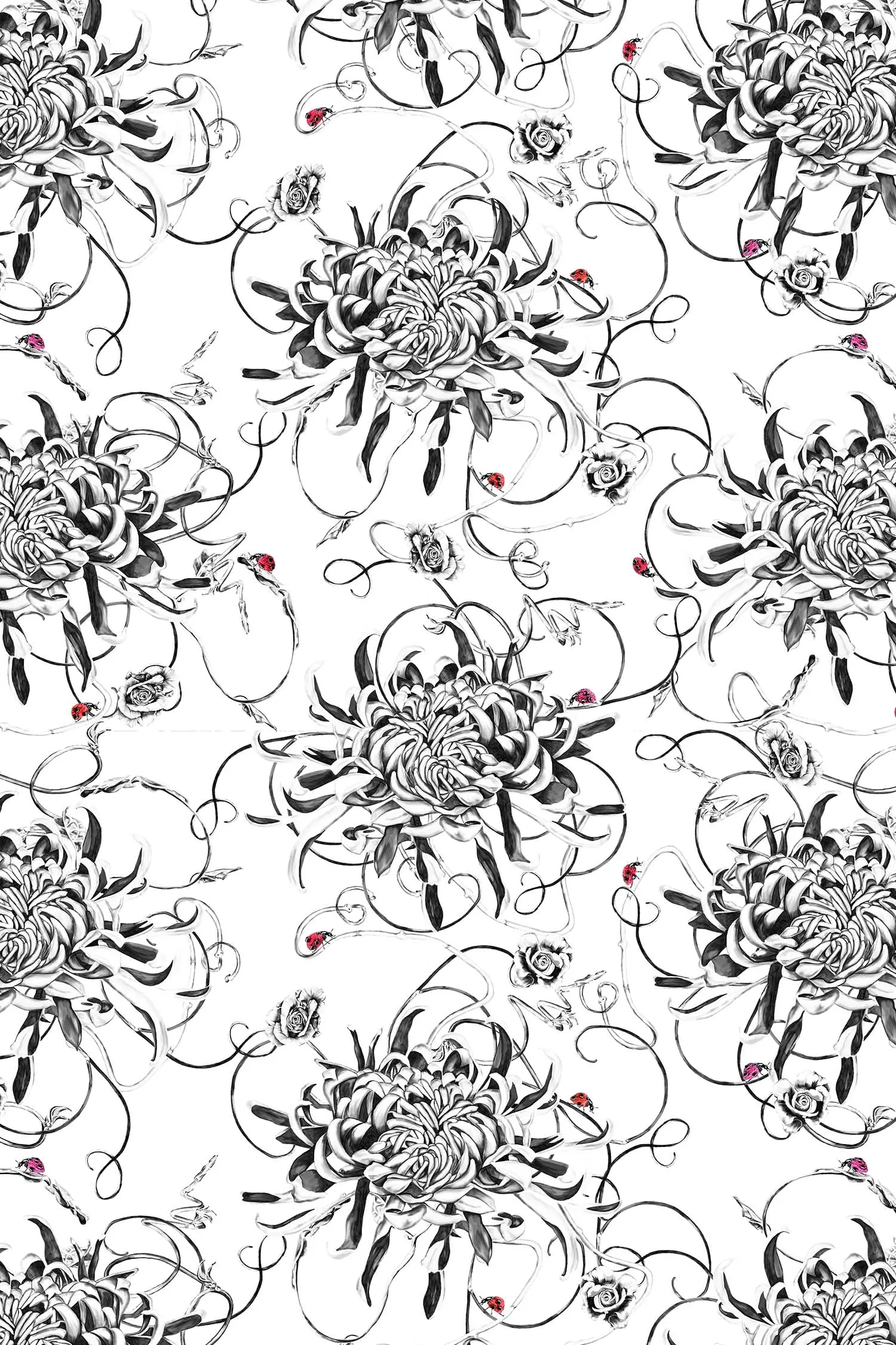 Chrysanthemum Wallpaper - White - Image 2