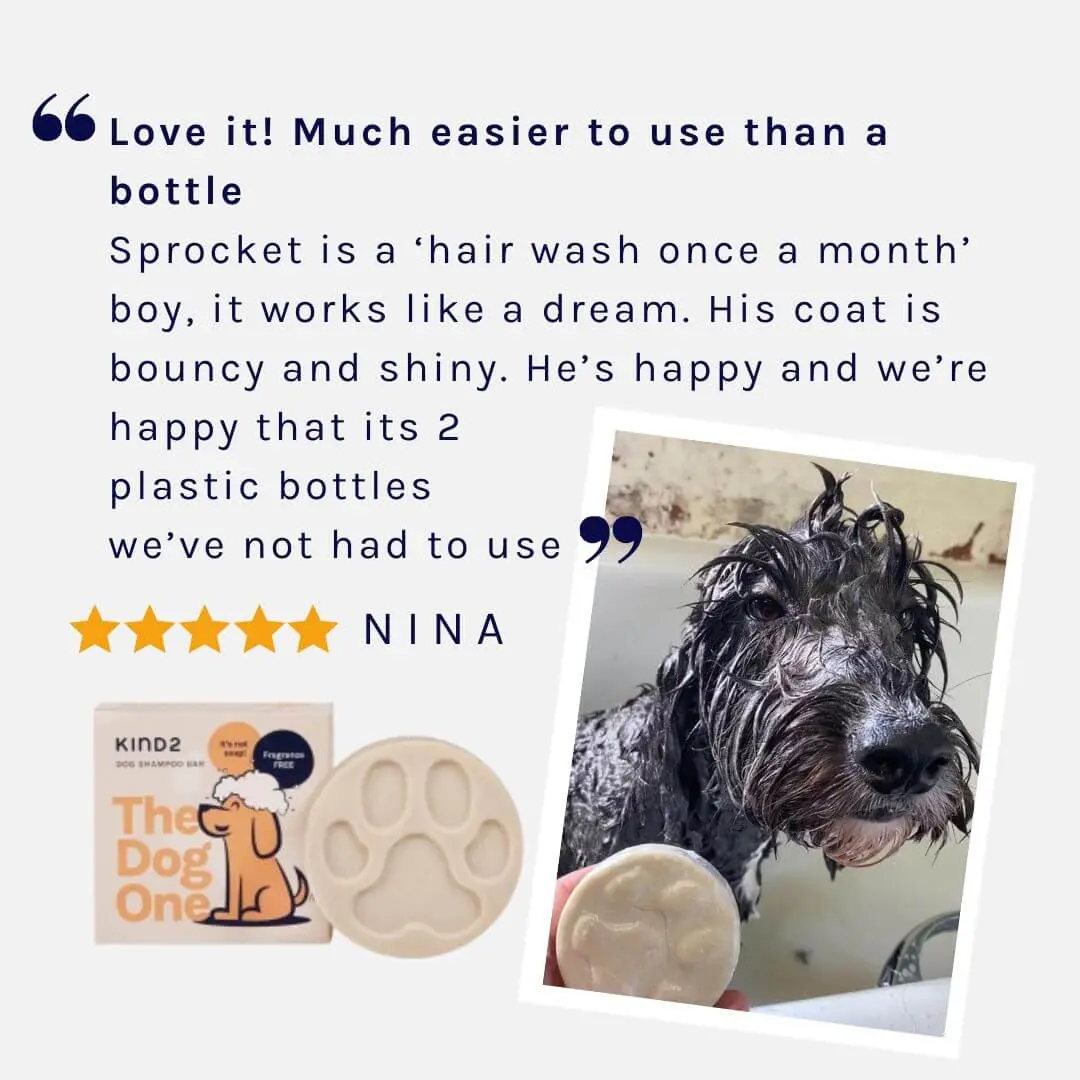 Clean & Calm Dog Shampoo Bar | Fragrance Free - Image 6