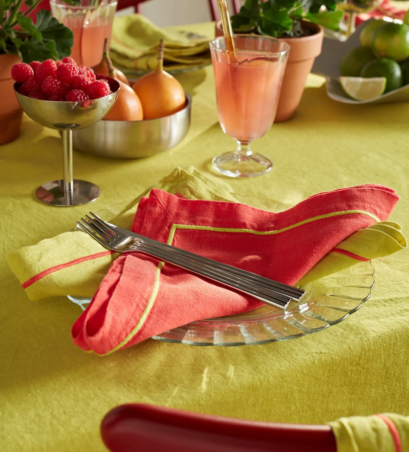 Glassette Tomato 100% Linen Napkins - Image 3