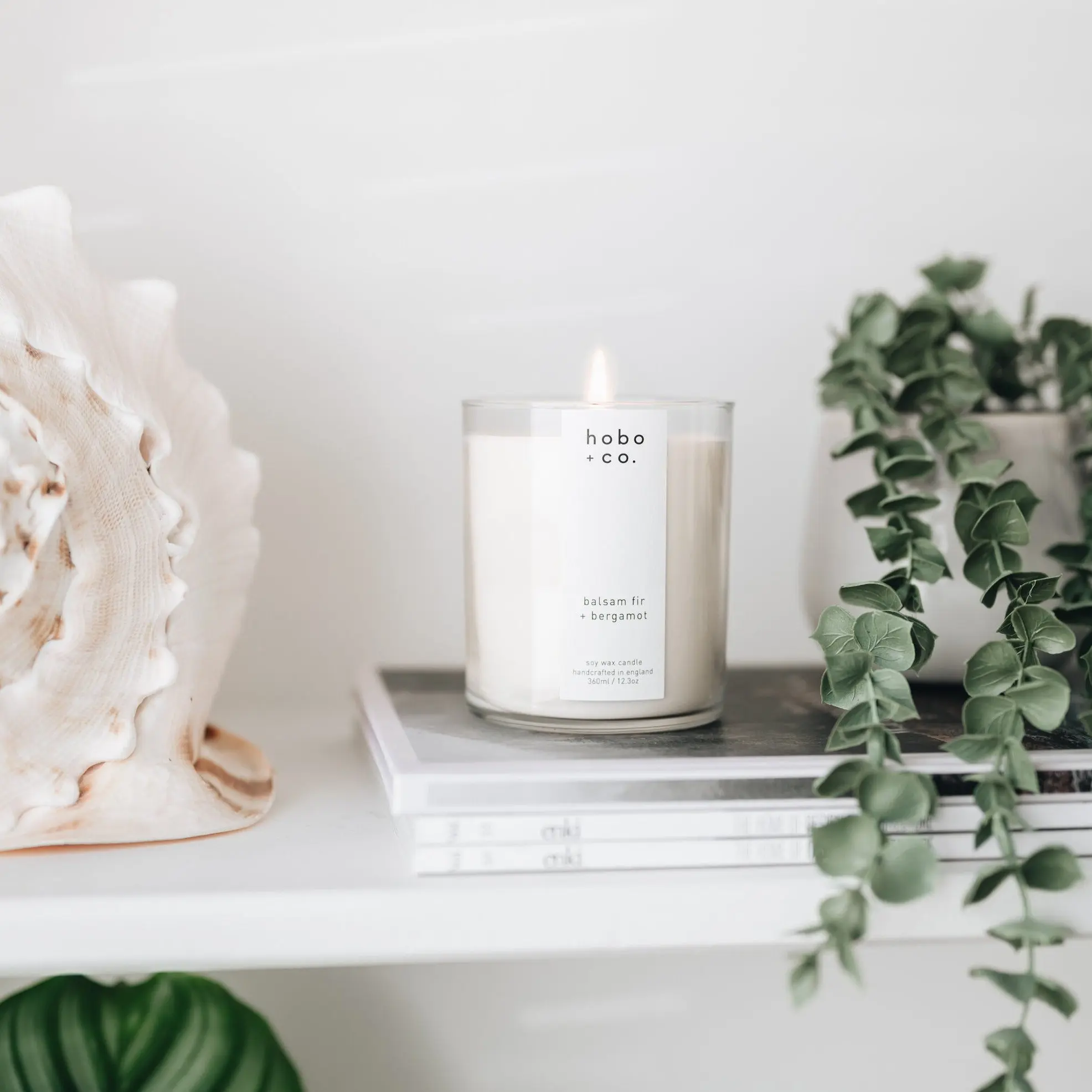Large Balsam Fir and Bergamot Candle - Image 3