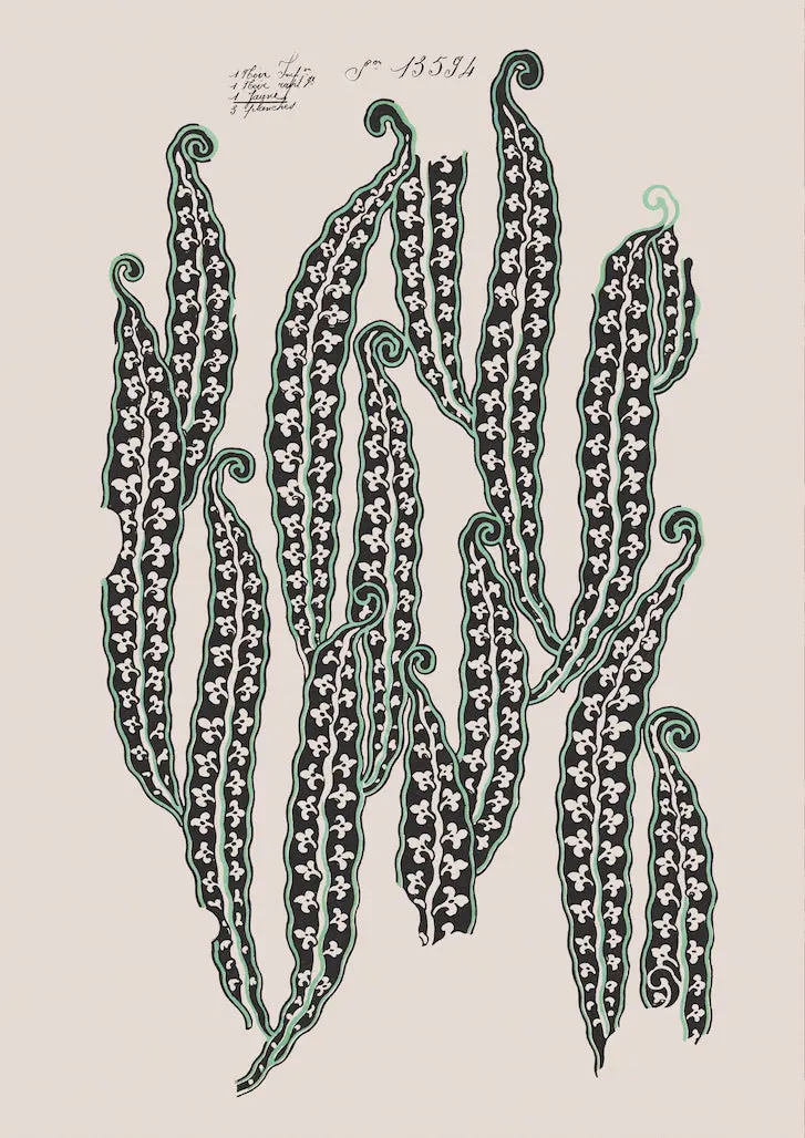 No.067 - Magic Beans II - Vintage Archive Poster Prints