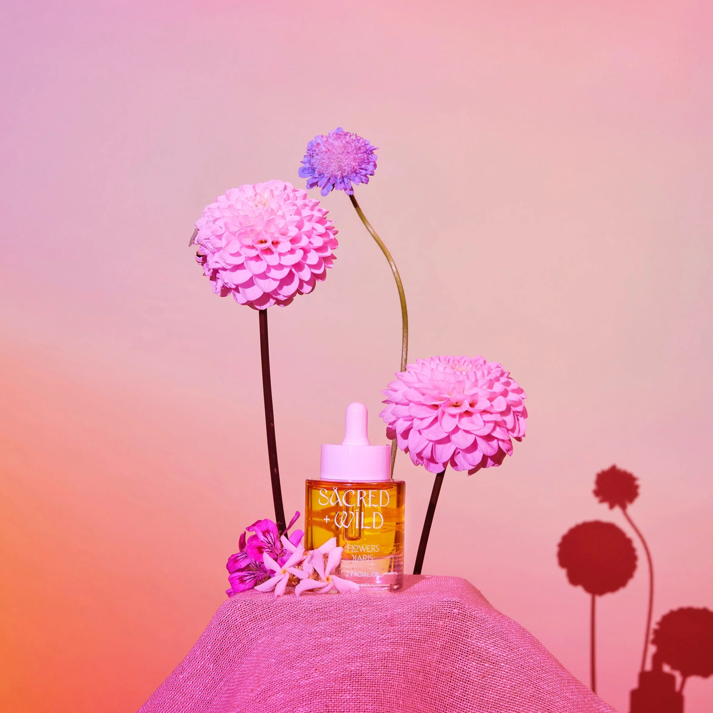 Organic Facial Oil with Prickly Pear + Bakuchiol - Image 5
