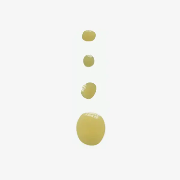 Organic Scalp Repair Mask - Image 2