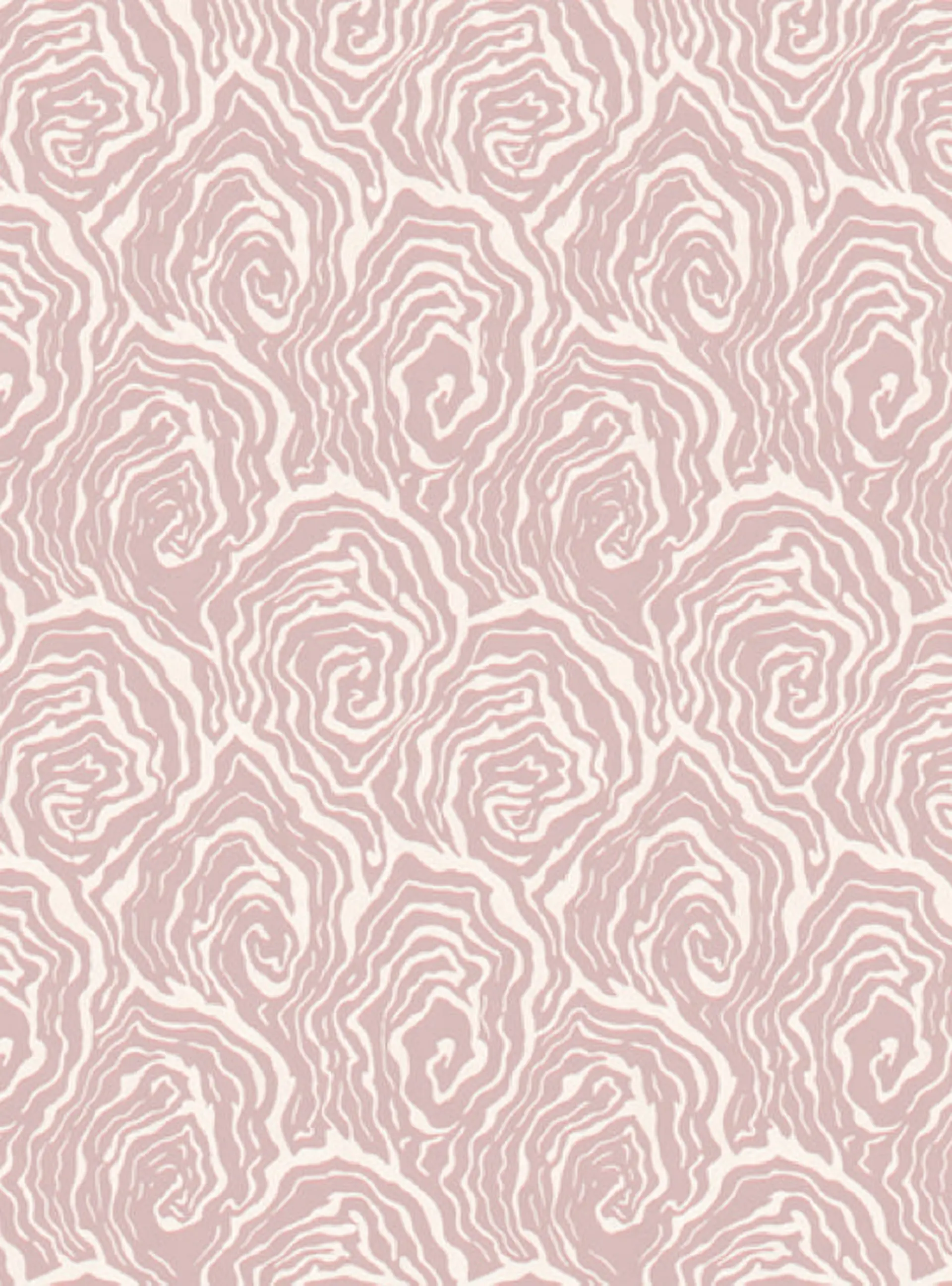 Oysters - in Venus Pink - Wallpaper
