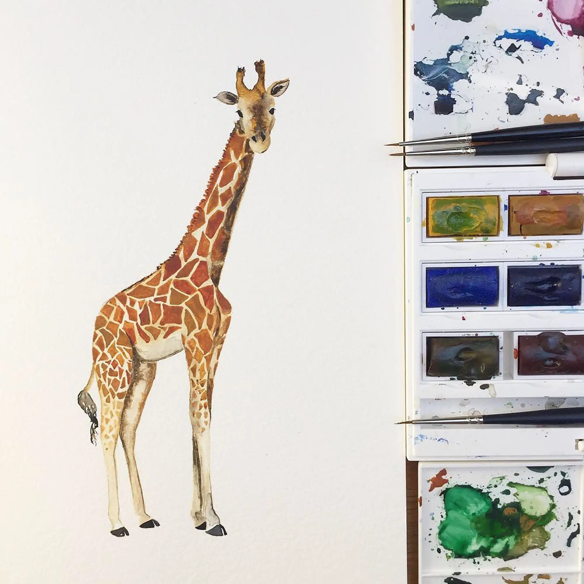 Safari Animals Hand-Designed Children's Wallpaper - Blue, Cream and Grey Colour Options - Image 9