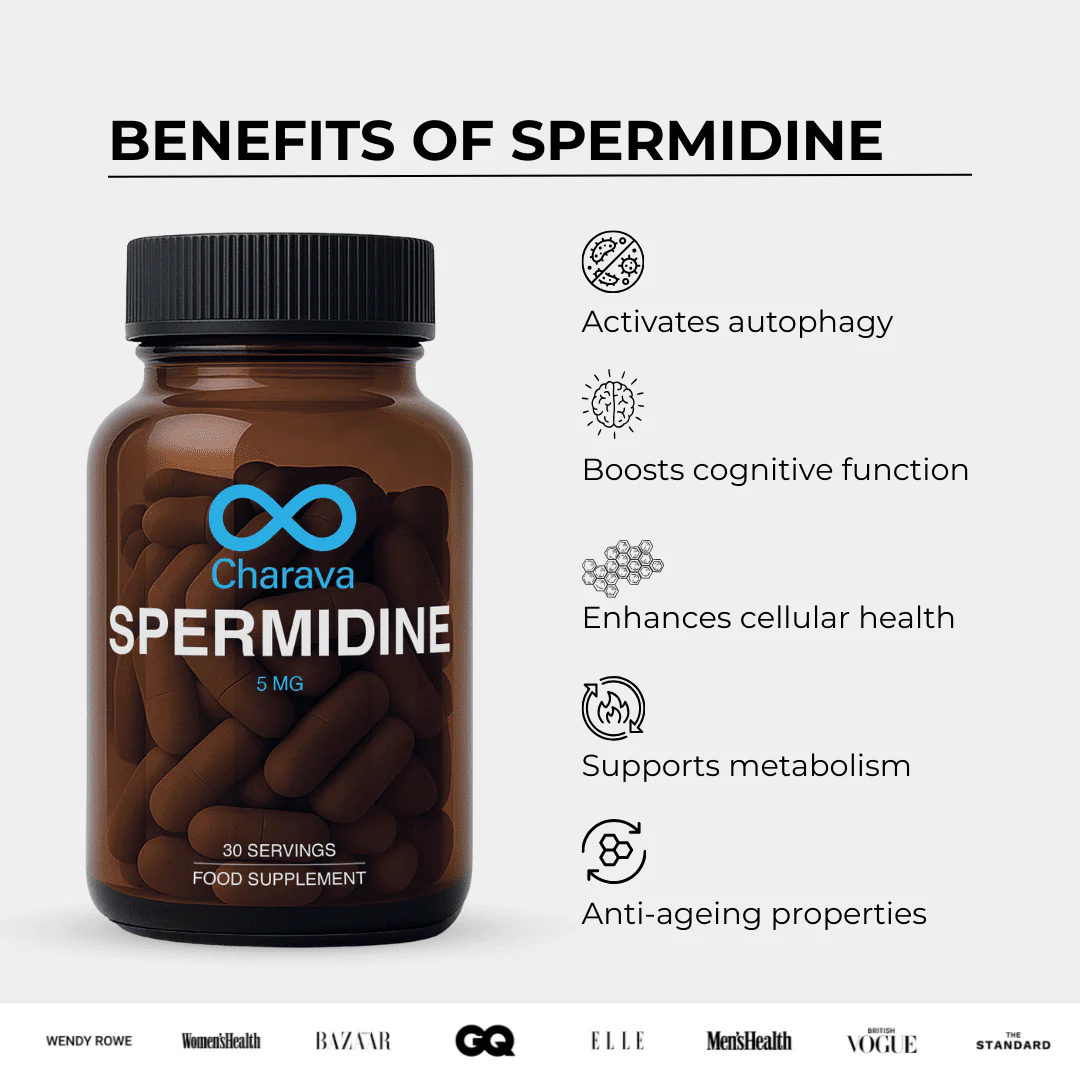 Spermidine - 5mg - Image 2