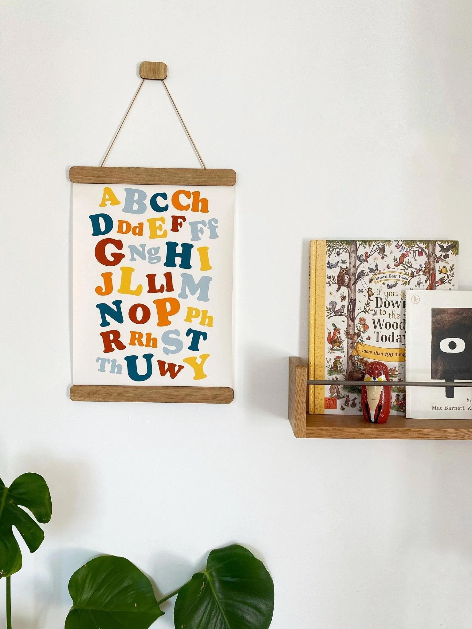 Straight Magnetic Picture Frame - OAK