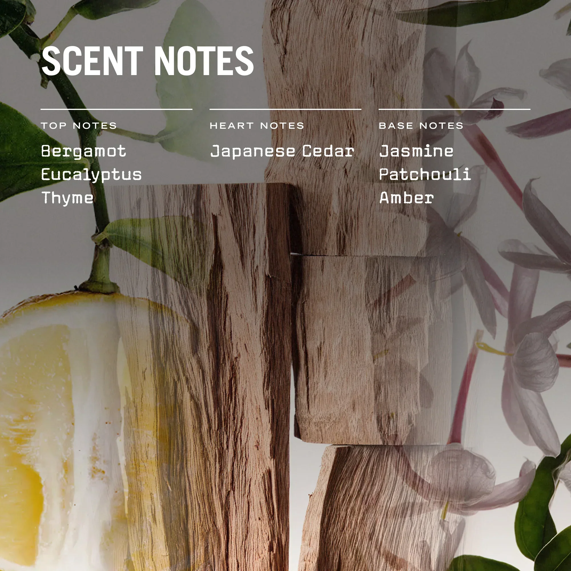 Sugi 250g Scented Soy Candle - Image 5