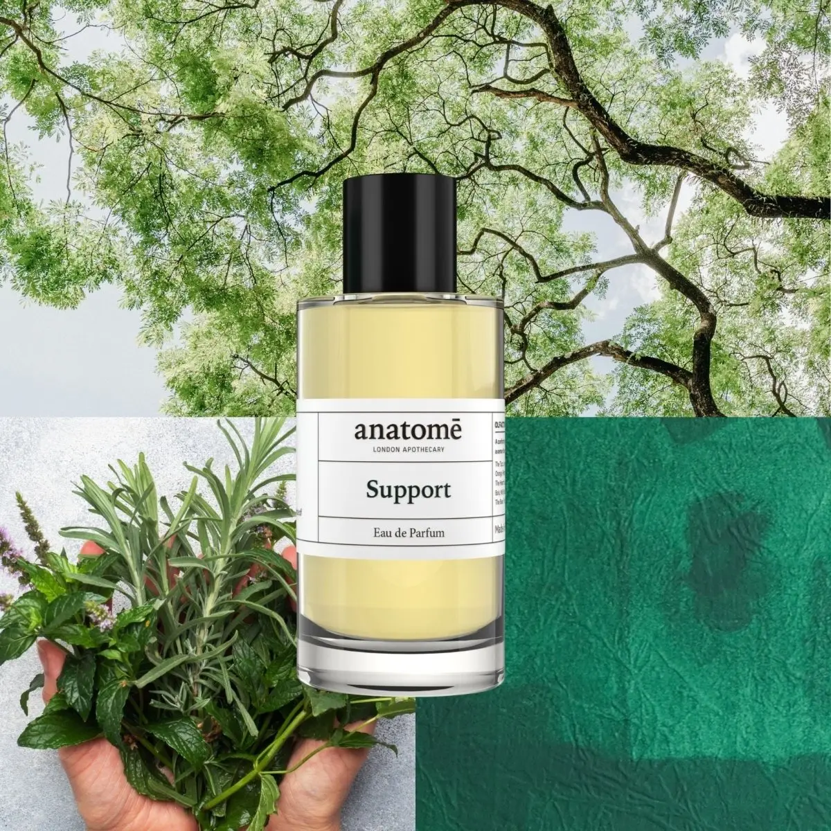 Support Functional Parfum - Image 4