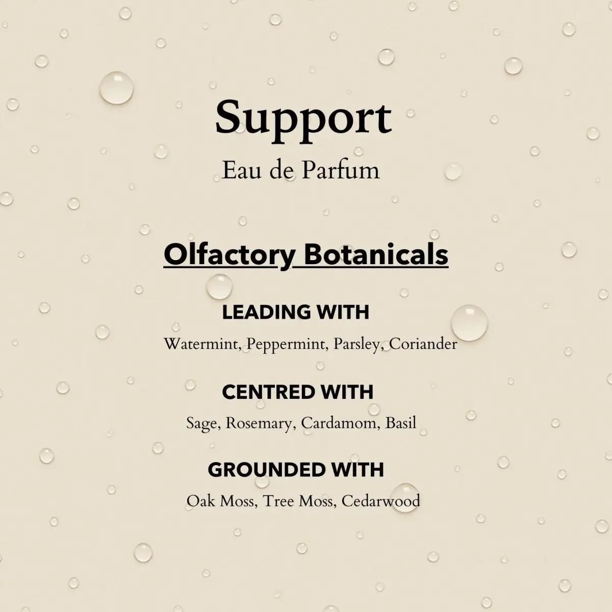 Support Functional Parfum - Image 6