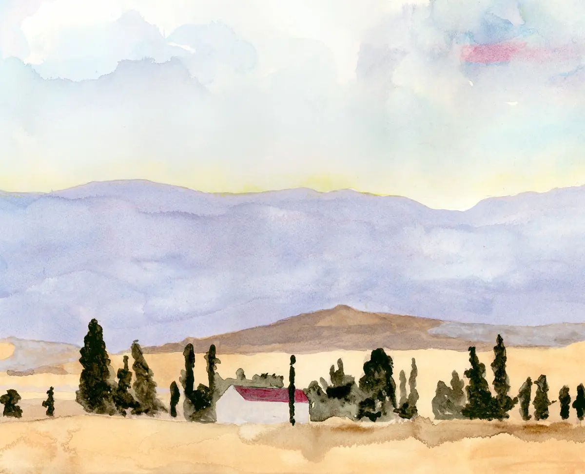 Wallpaper Mural of the Western Cape - £50 per sq metre. - Image 3
