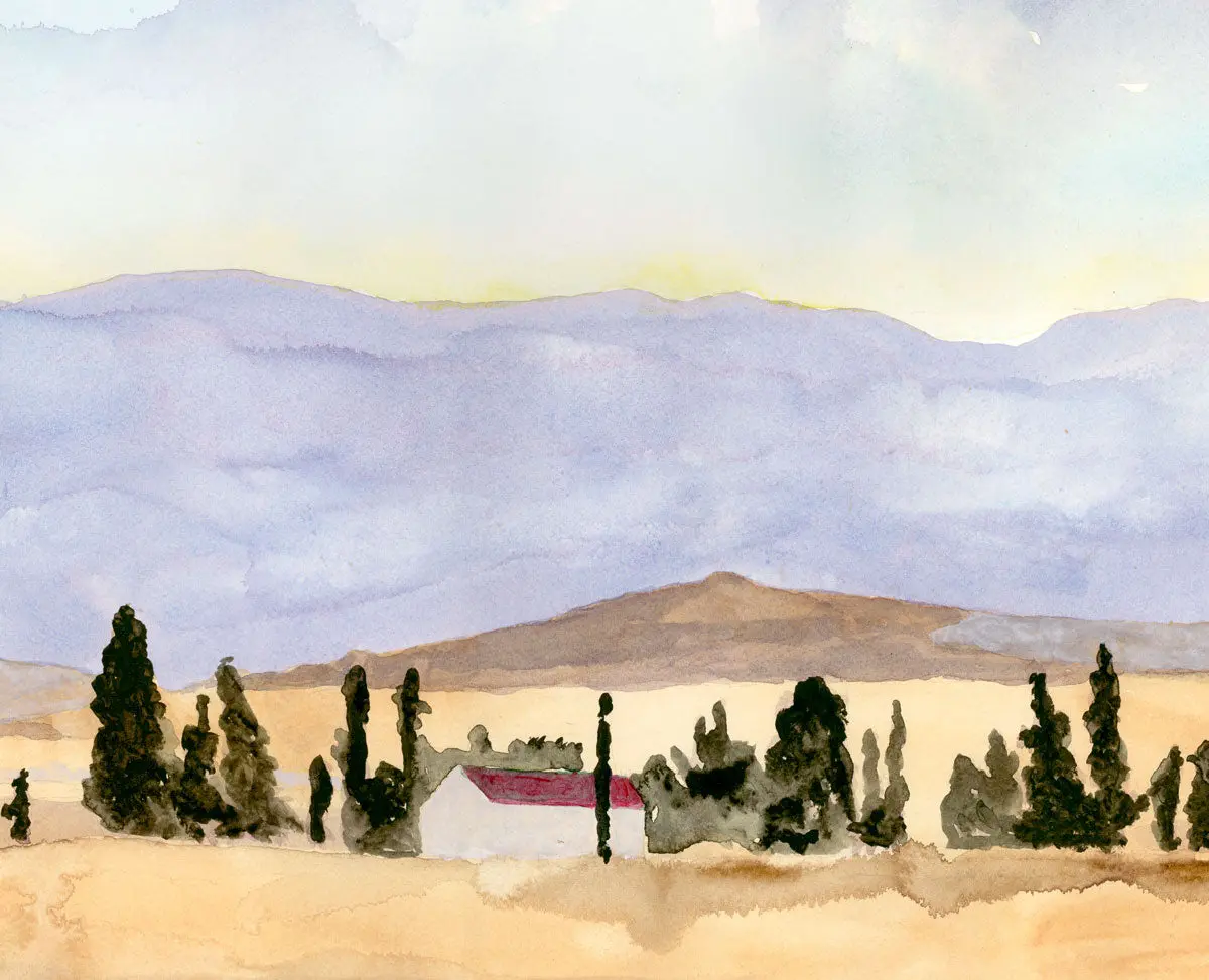 Wallpaper Mural of the Western Cape - £50 per sq metre. - Image 5