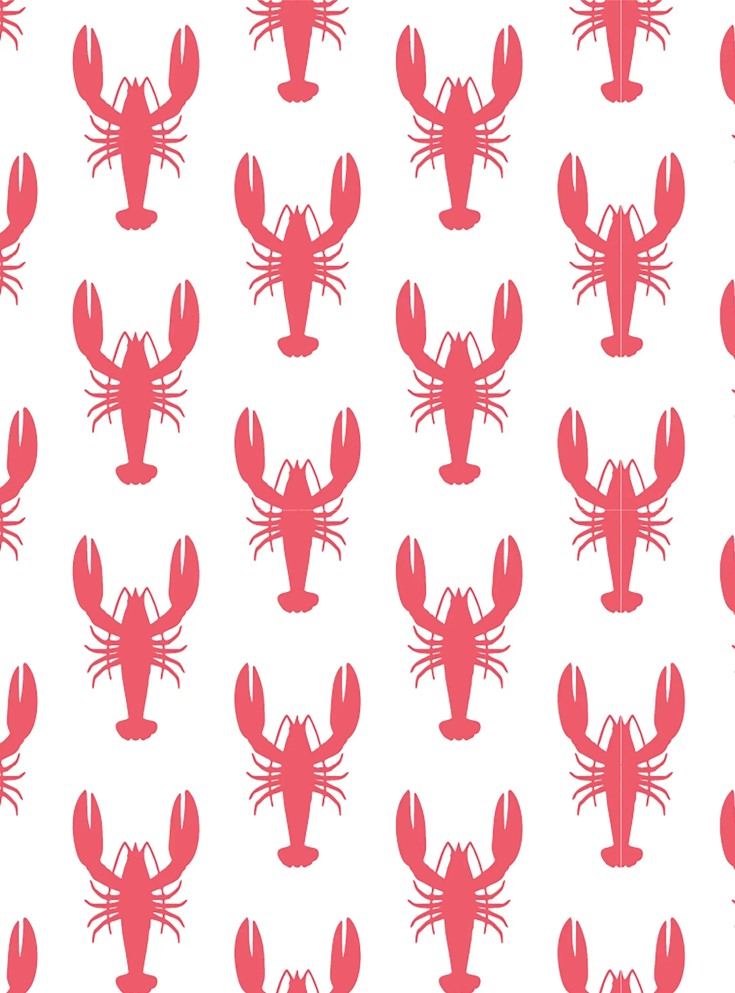 Red Lobster Women's Cami Organic Cotton Short Set - Image 5